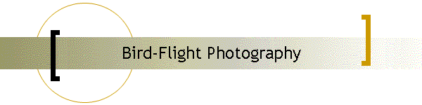 Bird-Flight Photography