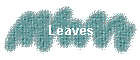 Leaves