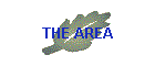 THE AREA