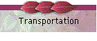 Transportation